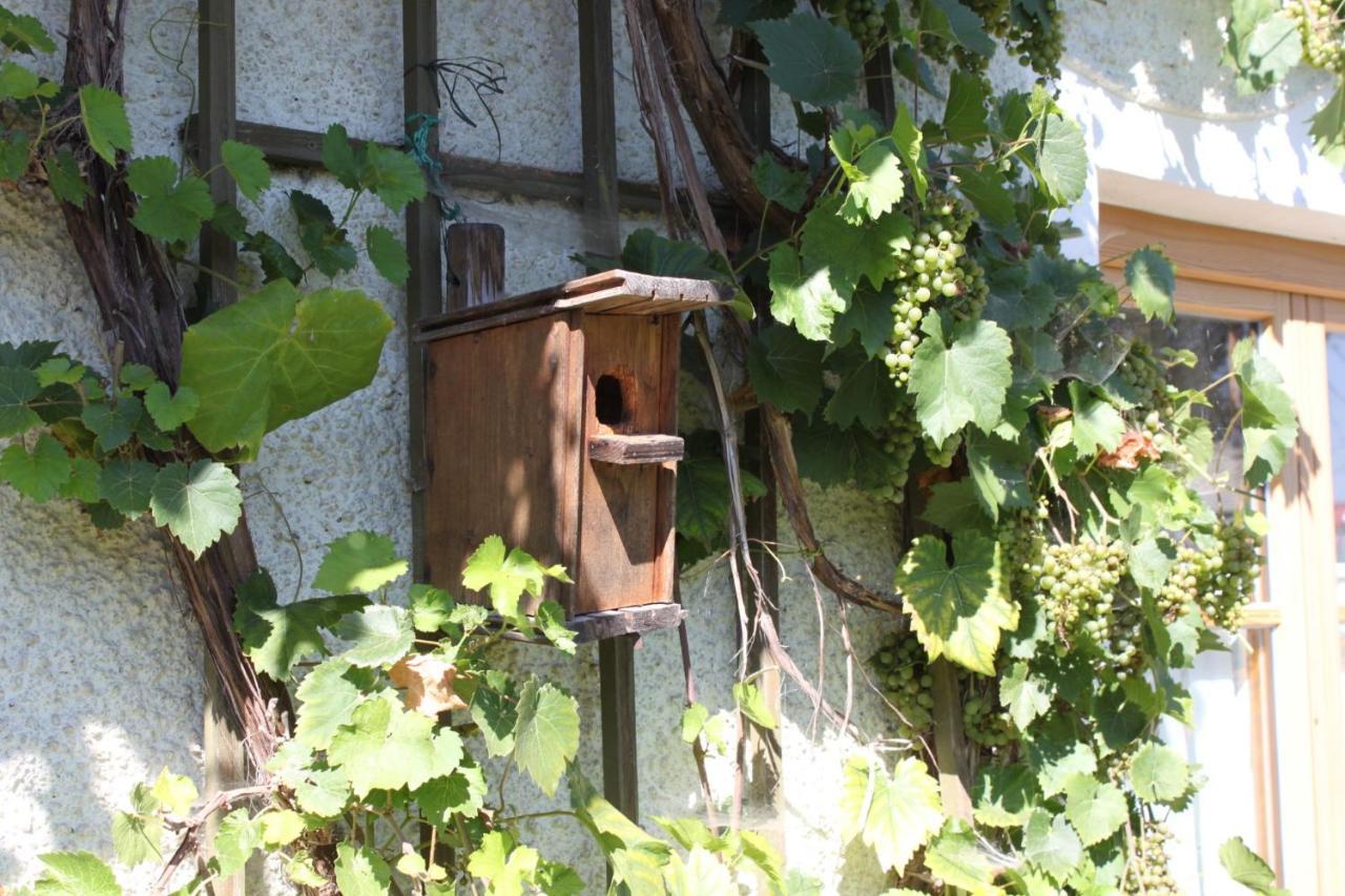 Ferienhaus Eller Traunwalchen エクステリア 写真